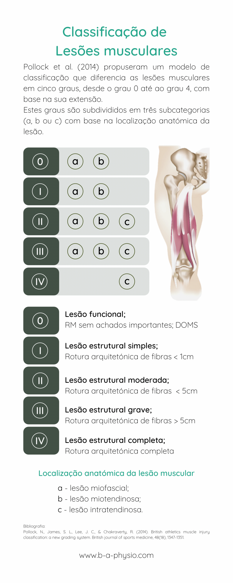 Classificação De Lesões Musculares Infográfico B A Physio 9600